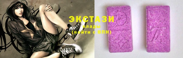 гидра Новодвинск