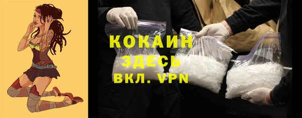 гидра Новодвинск