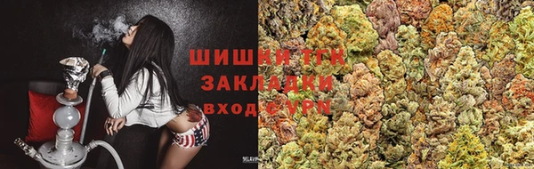гидра Новодвинск
