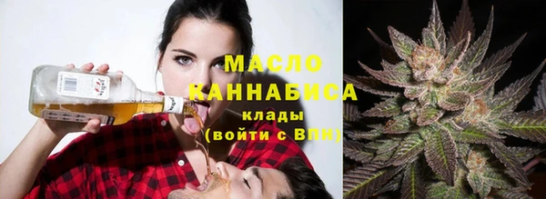 индика Новокубанск