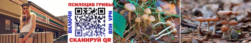Псилоцибиновые грибы ЛСД Канаш